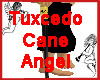 Gold Tuxcedo Cane Angel