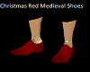 Christmad Medieval Shoes