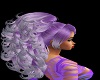 COIFFURE VIOLINE