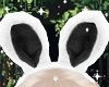 ♡ Bunny Cutie