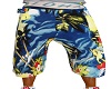 hawaiian shorts