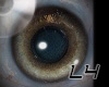 [L4]Brown Shiny Eyes