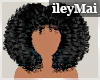 i| Curly Fro 1B