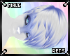 [Pets] Ferre | hair v5