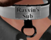 Rayvin's collar