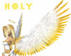 Holy Silver&Golden Wing