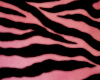 Light pink zebra canopy
