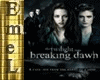 E- Breaking Dawn novel 