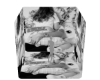 Silly Lap Pet Background