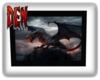 Dark Dragon Photo