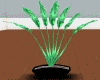 SM Fan Plant Animated