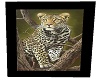 MJ-Leopard Frame 6