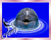 ¤C¤ Dolphins animated