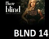EvanREMIX BLIND