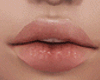 L! Perfect Lip Gloss