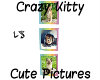 Crazy Kitty Cute Picts 3