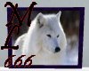 LK Wolf #1 White
