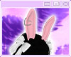 Pink Bunny Ears.