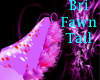 Bri fawn tail