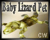 Baby Lizard Pet