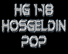 HOSGELDIN rmx