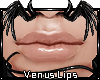 v. Venus: O/L Gloss (F)