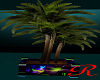 "RD" Royal Palm Tree