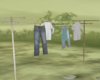 Clothes Line