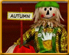 Autumn Scarecrow