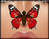 Emily Nose Butterfly