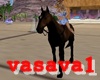 vsv horses gallop animat