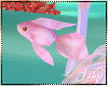 -I- Mermaid Fish Friends