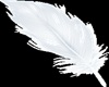 Floating Feather HP