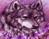 purple wolf dream Couch