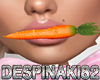 Ds Bunny Carrot