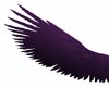 dark fushia wings 2