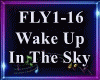 Wake Up in The Sky
