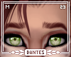 -D- | Latte Brows M 1