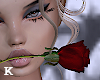 valentine's rose