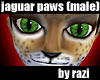 Jaguar Paws (Male)
