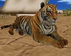 tiger animated