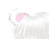 white pander ears