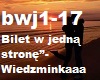 Bilet w jedna strone