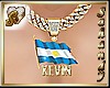 "S" KEVIN ARG FLAG 4 HIM