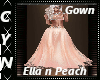 Ella n Peach Gown
