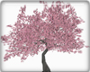 (alphaplane)sakura tree