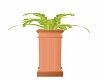 Bronze Potted Fern 3