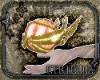 Kibelius Orb R v2 Anim