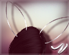 Silver Wired Bunny Ears
