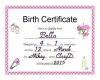 Birth Certificate Bella